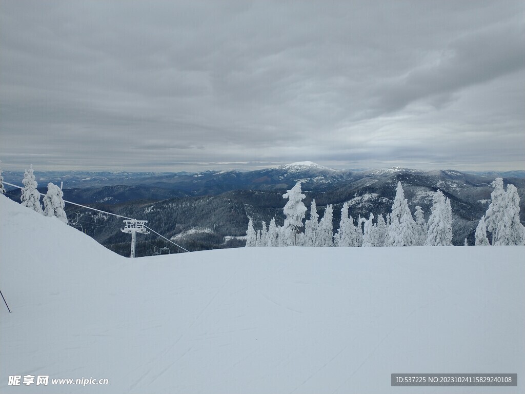 雪地