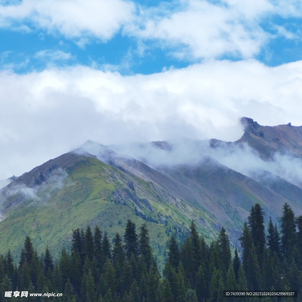 风景  天山