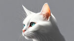 白猫，侧脸，可爱，在画面左半边，右侧空白，渐变灰色底色