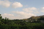 郊野晴天