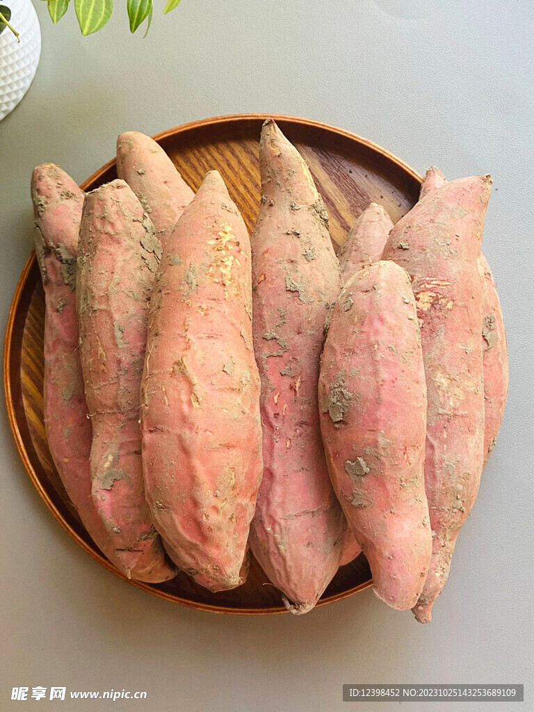 红薯