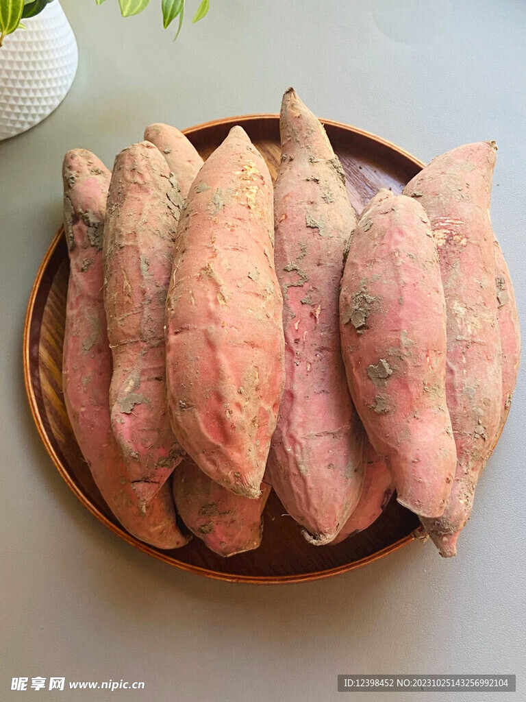红薯