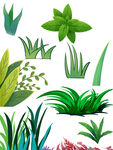 免扣草叶子植物元素素材