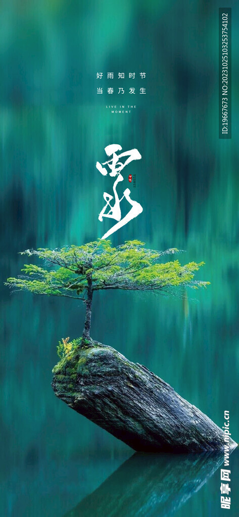 雨水海报  