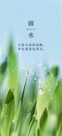 雨水海报 