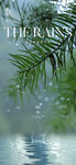 雨水海报  