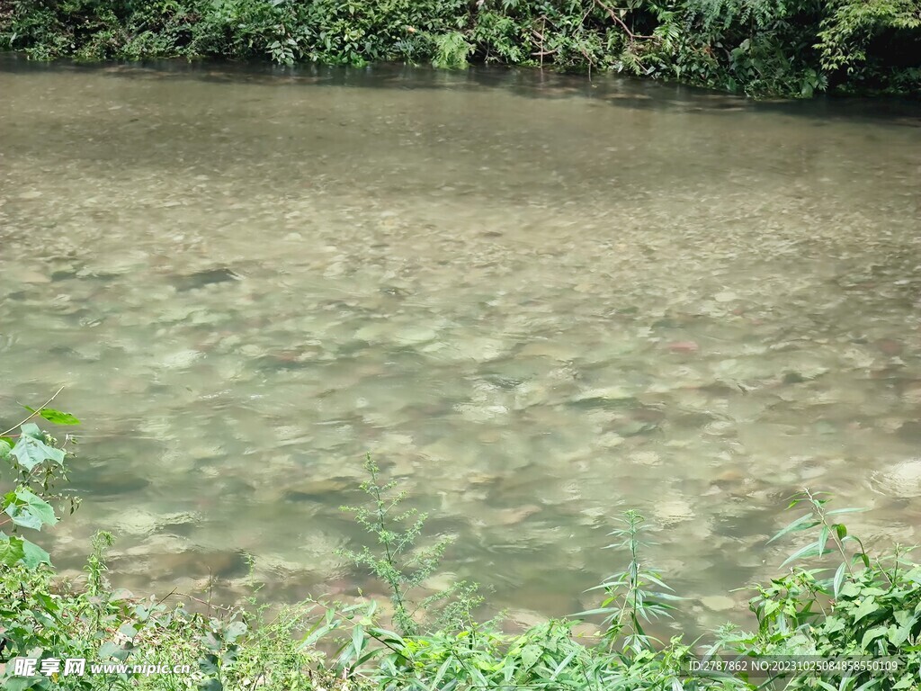 张家界森林公园