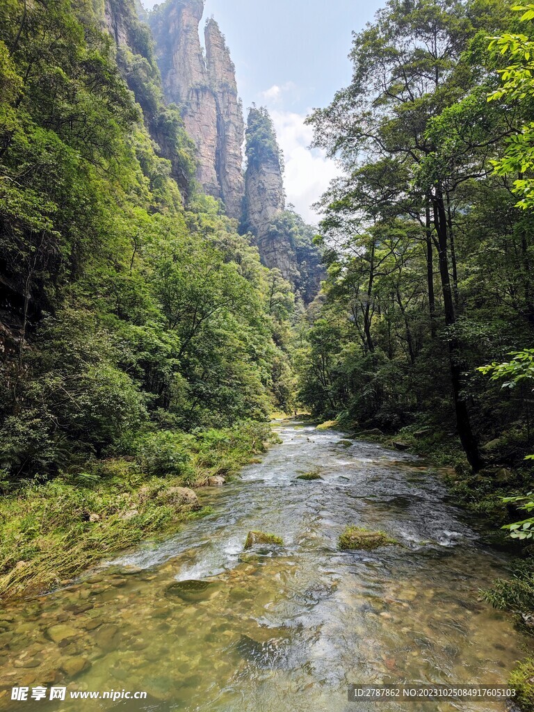 张家界森林公园