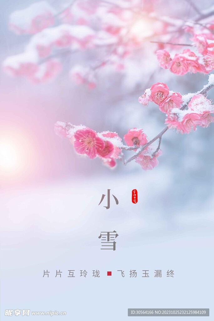 小雪