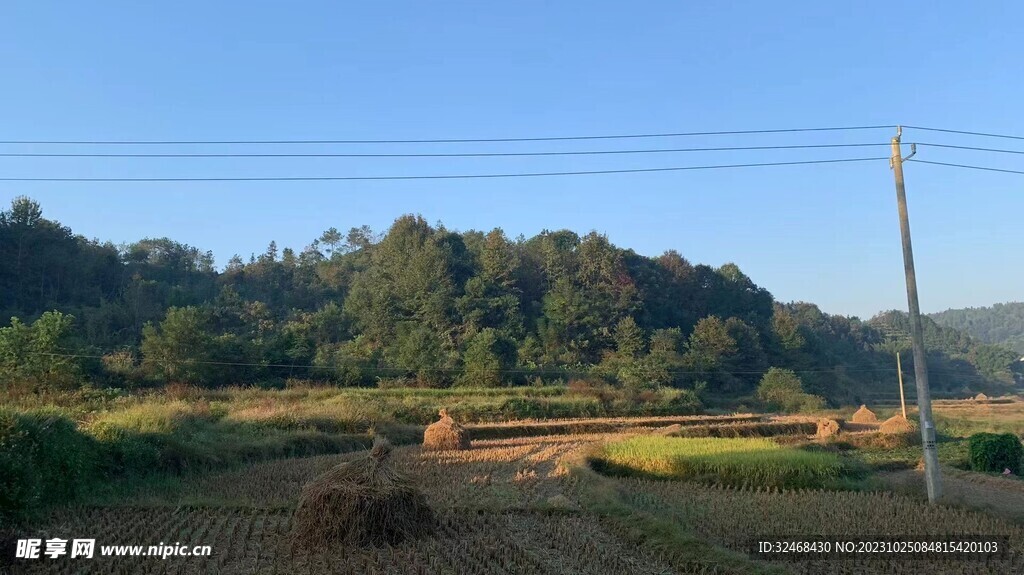 农村的田野