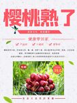 樱桃