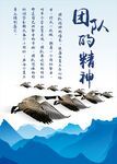 团队的精神