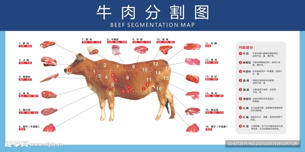 牛肉分割图  宣传展板