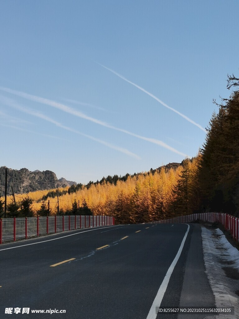 秋天的公路
