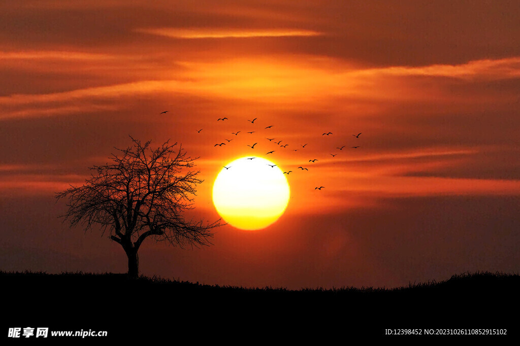 夕阳美景