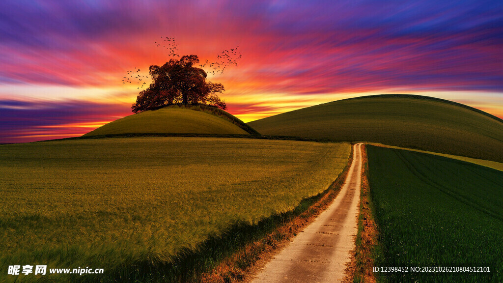 夕阳美景