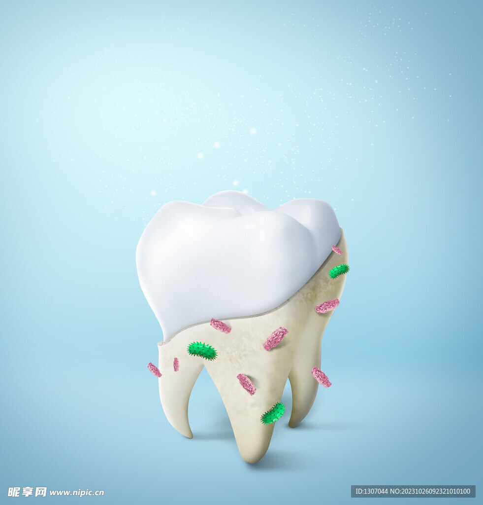 牙齿 模型  口腔 3D