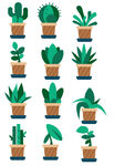 植物花卉面性标签图标免扣