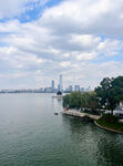 城市