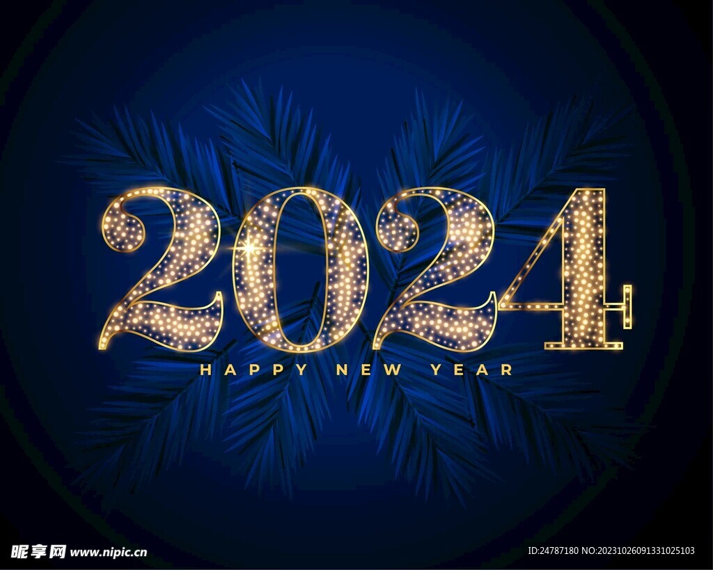 2024年