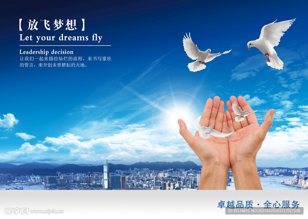 放飞梦想