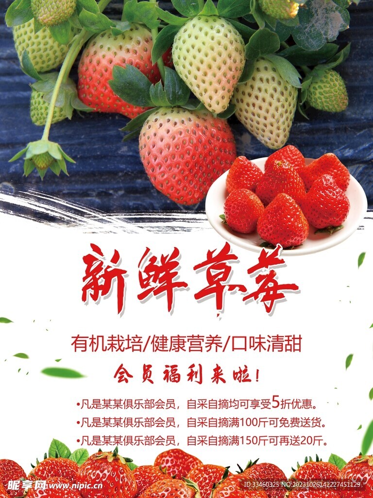 新鲜草莓
