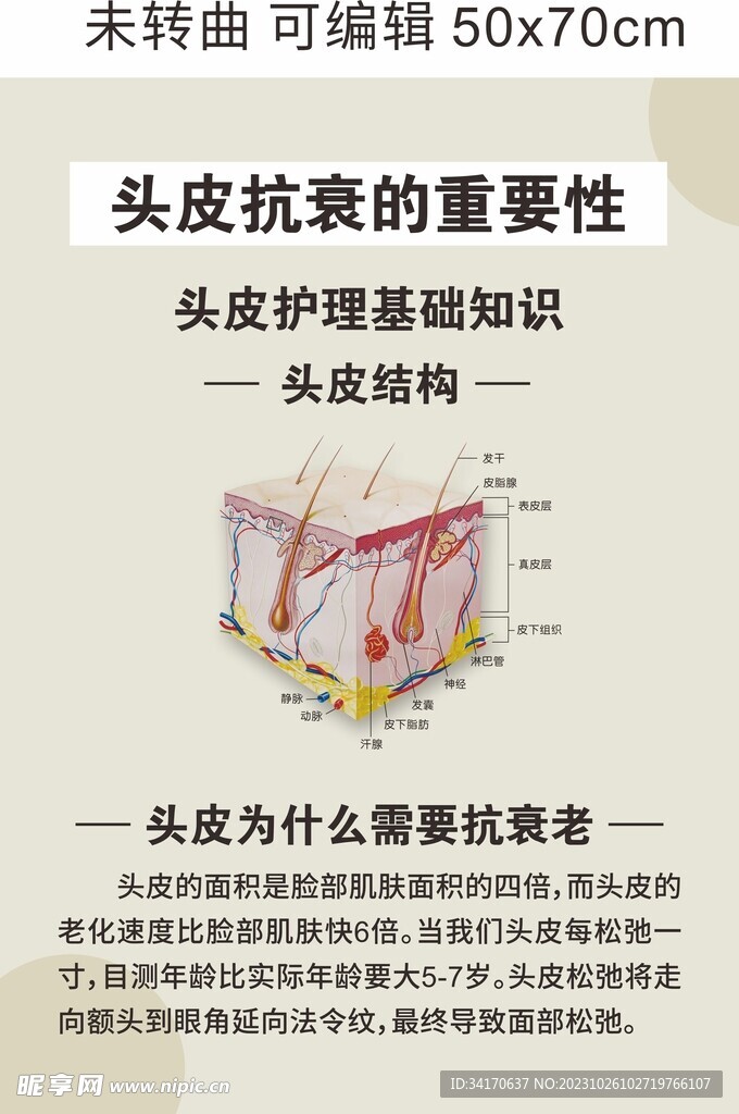 头皮抗衰海报