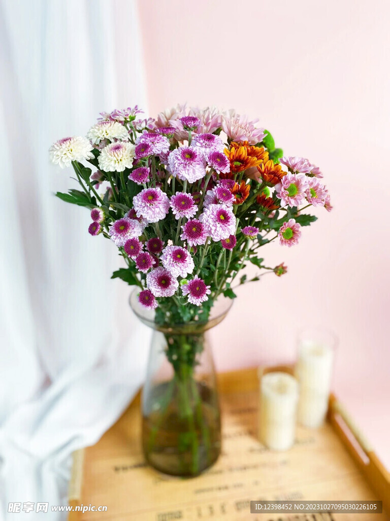 室内雏菊鲜花