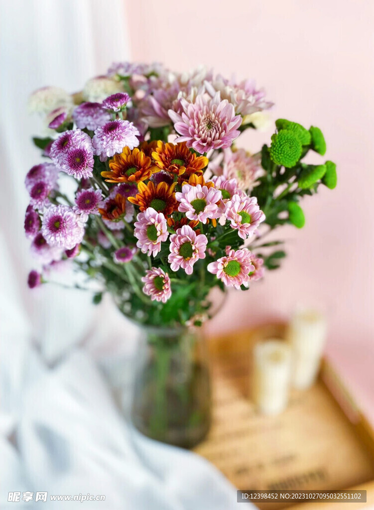 室内雏菊鲜花