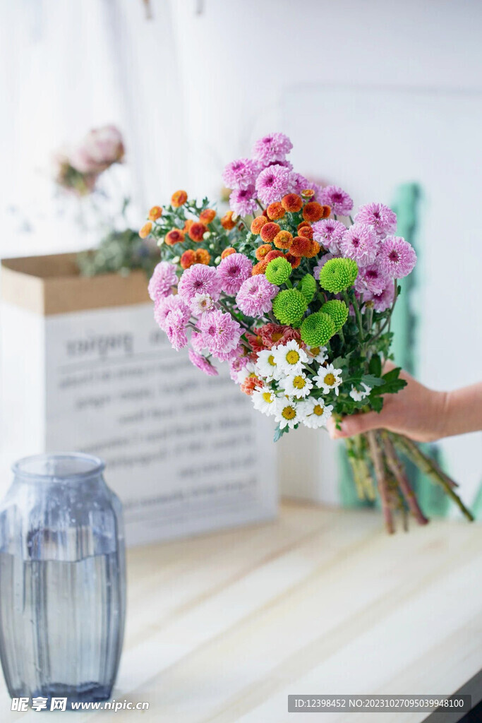 室内雏菊鲜花