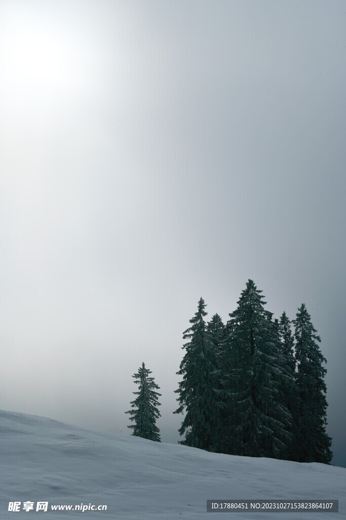 雪地