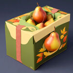 秋月梨包装礼盒
