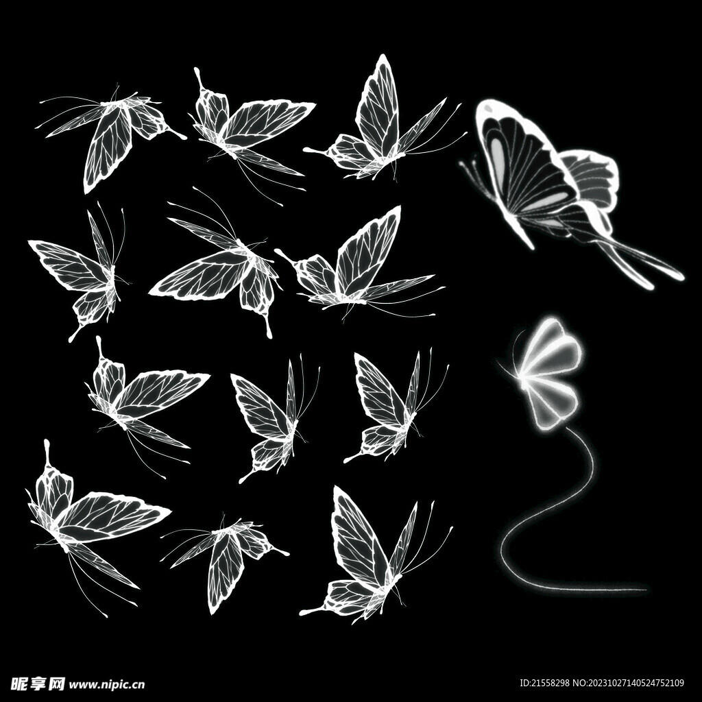 白色蝴蝶图片素材-编号13116989-图行天下
