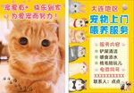 宠物喂养