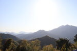 山