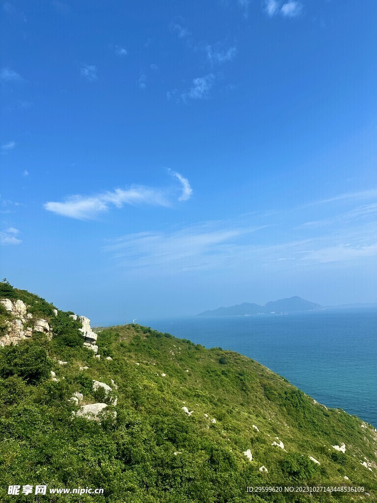 大海