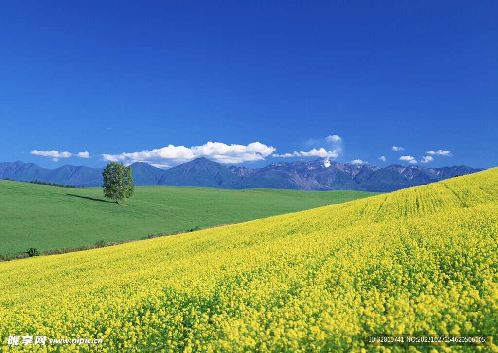 风景