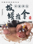 拔罐推拿