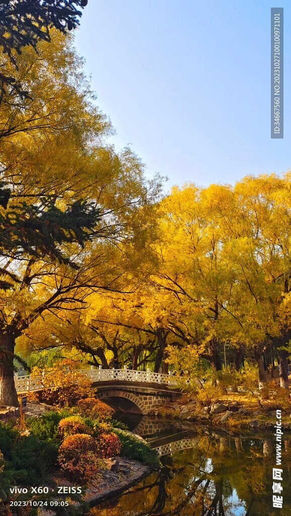 秋景