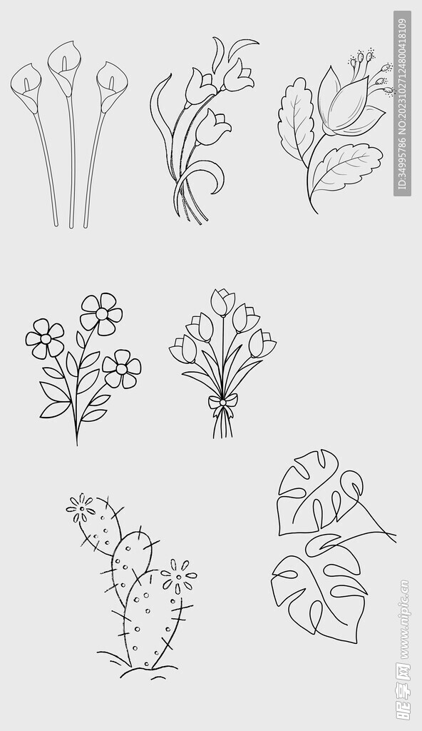 线条花