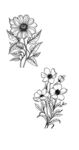 线描花卉