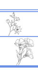 线条花