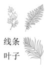 线条叶子 