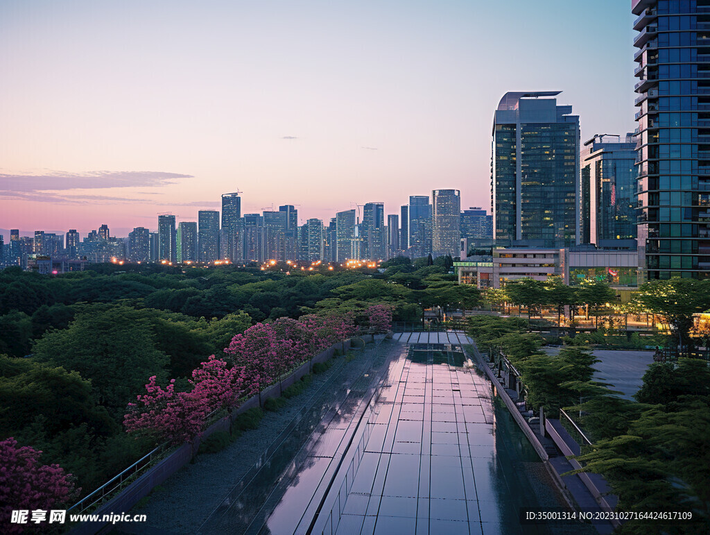 傍晚城市屋顶花园