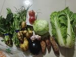 蔬菜组合