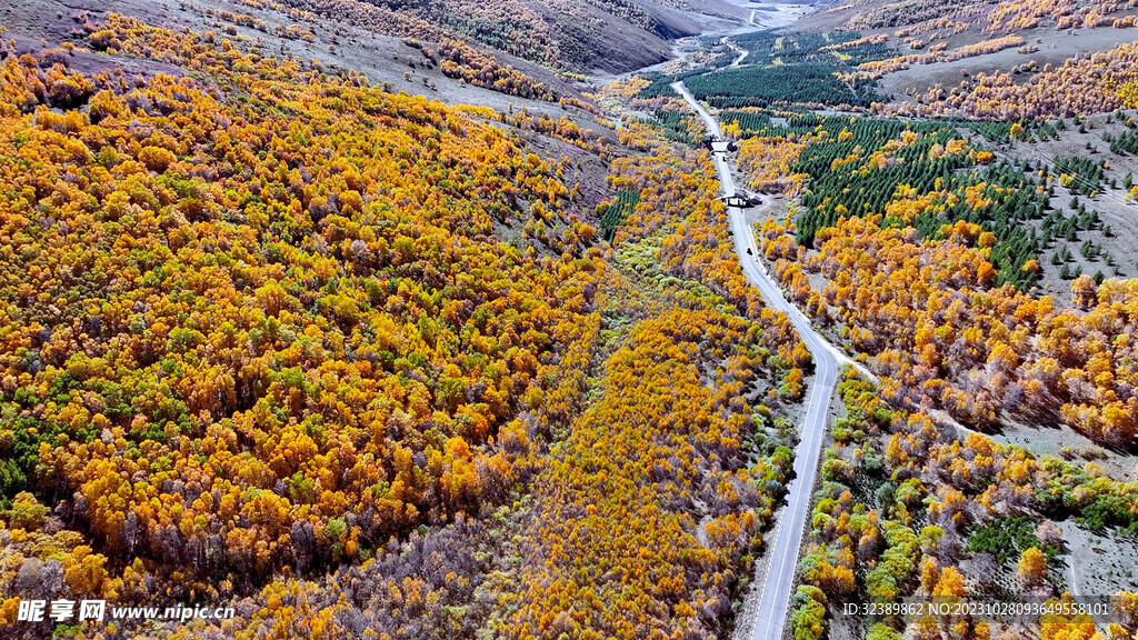 秋天的山谷道路
