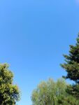 纯蓝色纯净天空