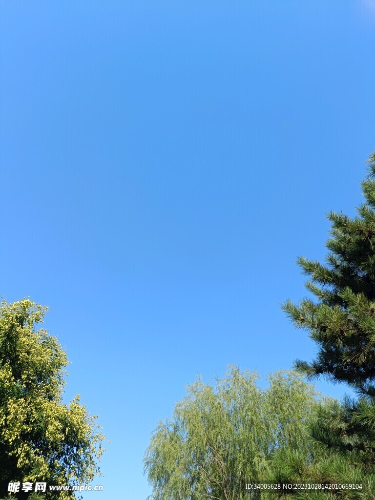 纯蓝色纯净天空