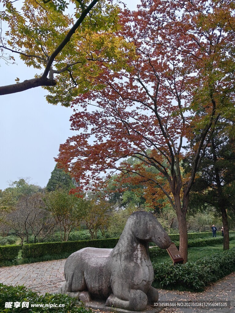 南京明孝陵石像路