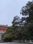 南京明孝陵  